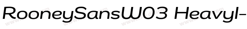 RooneySansW03 HeavyI字体转换